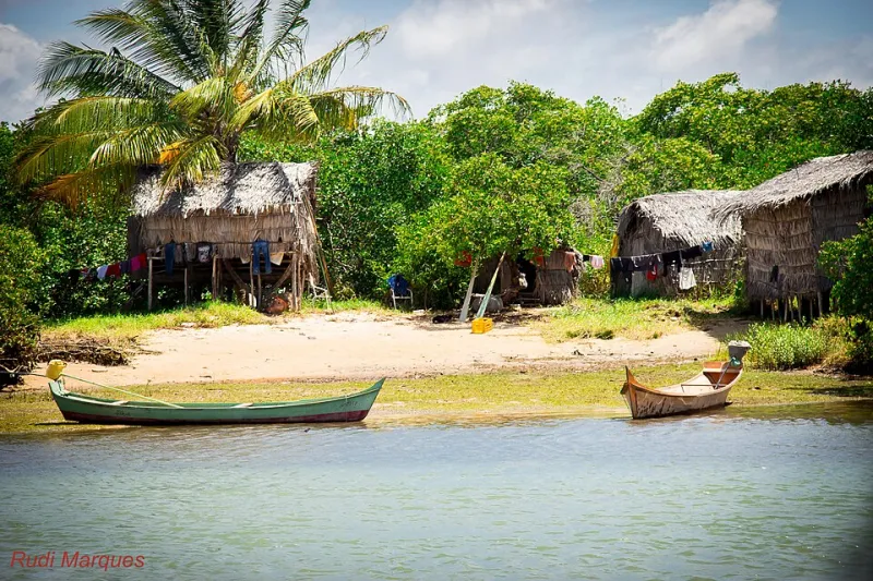 Alma da Ilha: As Pessoas Que Respiram e Dão Vida a Ilha do Camarão