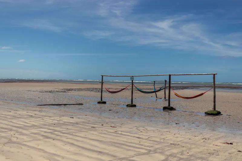 Quando o Mar se Despede: O Guia Definitivo da Maré Baixa em Ilha do Camarão